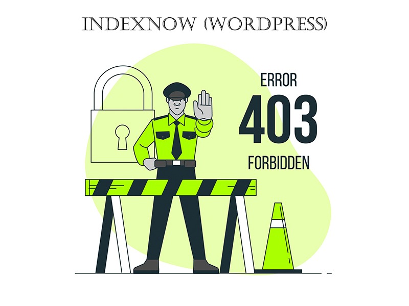 403 Error In